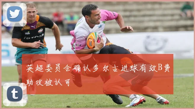 英超委员会确认多尔古进球有效B费助攻被认可